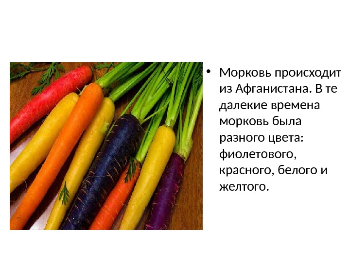  • Морковь происходит из Афганистана. В те далекие времена морковь была разного цвета: