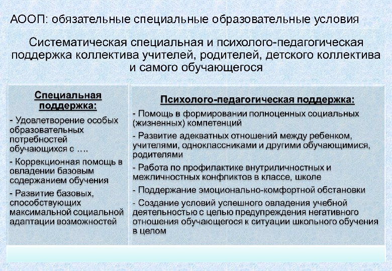 АООП: обязательные специальные образовательные условия 