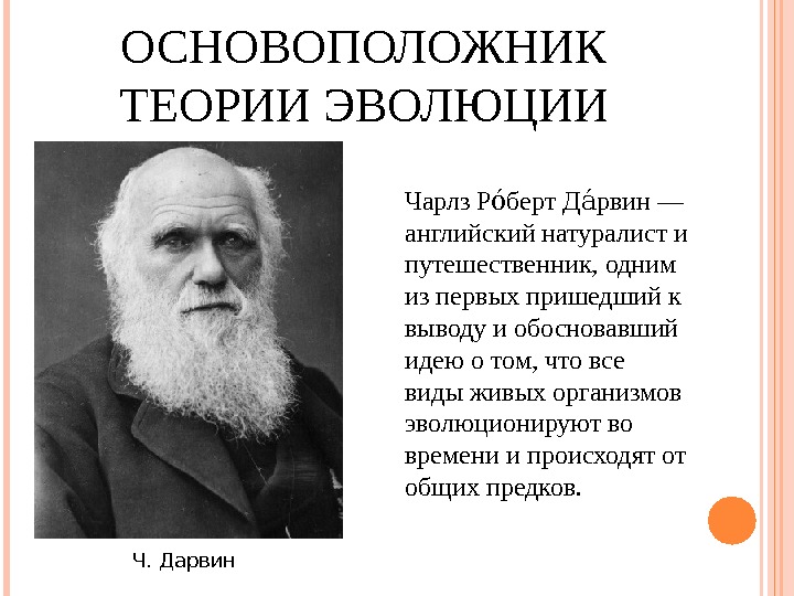 ОСНОВОПОЛОЖНИК ТЕОРИИ ЭВОЛЮЦИИ Ч. Дарвин Чарлз Р берт Д рвин — оо ао английский