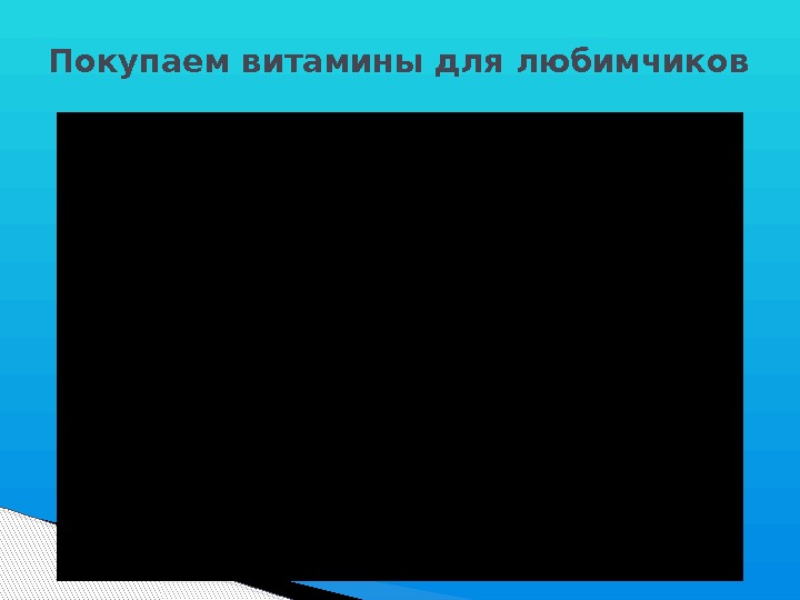 Покупаем витамины для любимчиков  