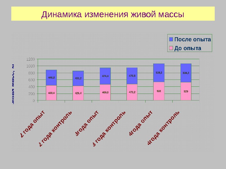 Динамика изменения живой массы 