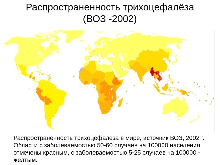 Распространенность трихоцефалёза (ВОЗ -2002) Распространенность трихоцефалеза в мире, источник ВОЗ, 2002 г.  Области