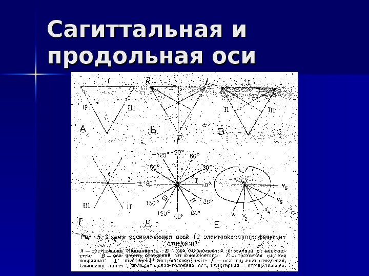   Сагиттальная и продольная оси 