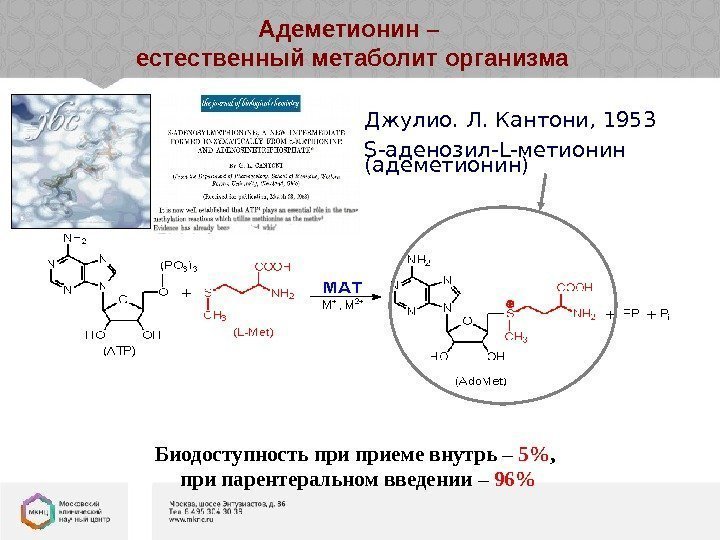 Джулио.  Л.  Кантони , 1953 S- аденозил- L- метионин (адеметионин)Адеметионин – естественный