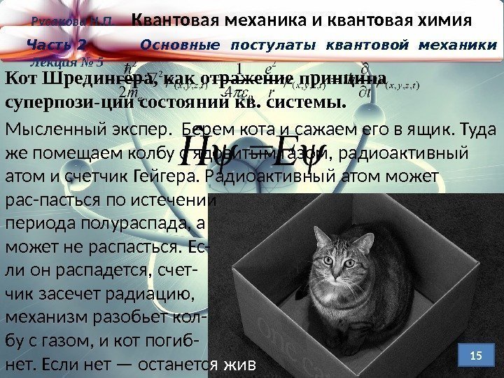 Кот Шредингера, как отражение принципа суперпози-ции состояний кв. системы. Мысленный экспер.  Берем кота