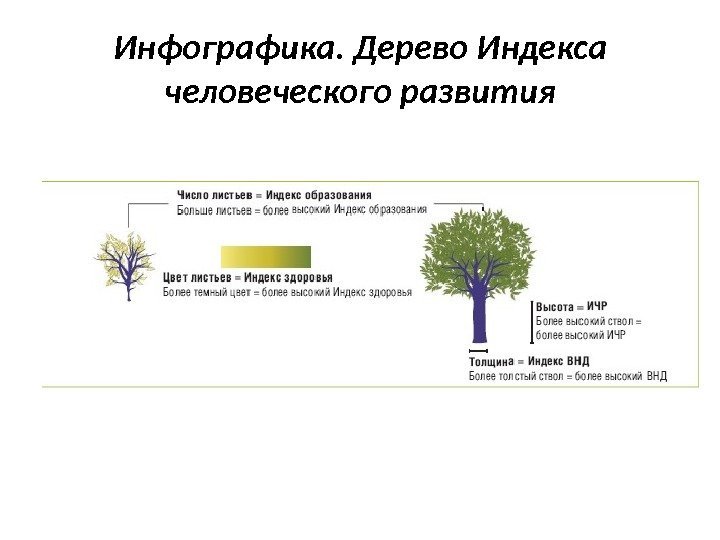 Инфографика. Дерево Индекса человеческого развития 