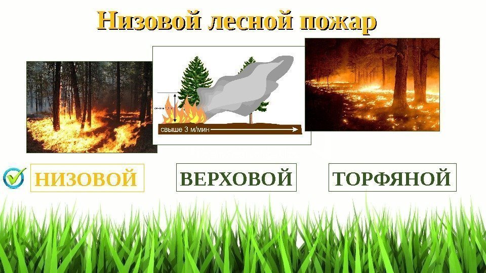 Низовой лесной пожар ВЕРХОВОЙ ТОРФЯНОЙ НИЗОВОЙ 
