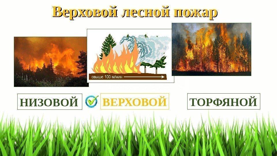 Верховой лесной пожар ВЕРХОВОЙ ТОРФЯНОЙ НИЗОВОЙ 