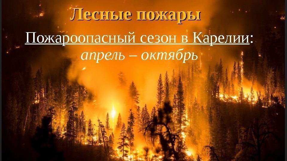Лесные пожары Пожароопасный сезон в Карелии :  апрель – октябрь 