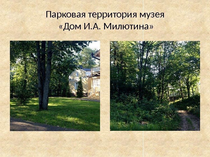 Парковая территория музея  «Дом И. А. Милютина» 