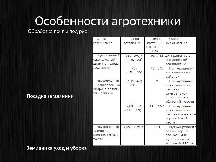 Особенности агротехники  Обработка почвы под рис Посадка земляники Земляника уход и уборка 