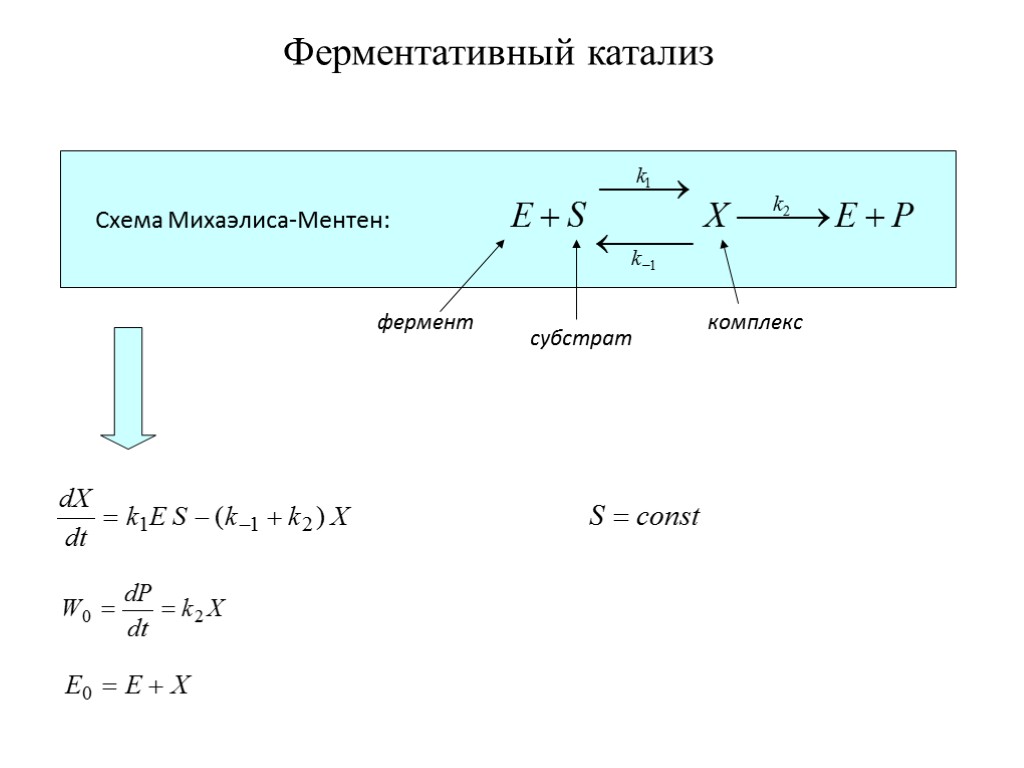 Схема михаэлиса ментен