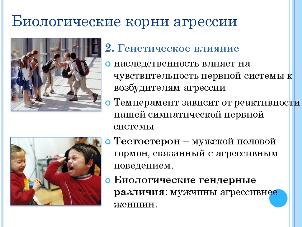 Показать влияние. Презентация на тему агрессия. Влияние агрессии. Биологические корни агрессии. Биологические факторы агрессии.