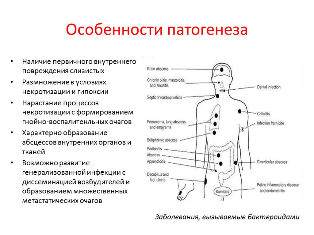 Свойства патогенеза