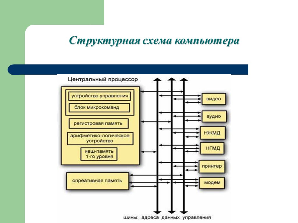 Что включает в себя структурно функциональная схема компьютера