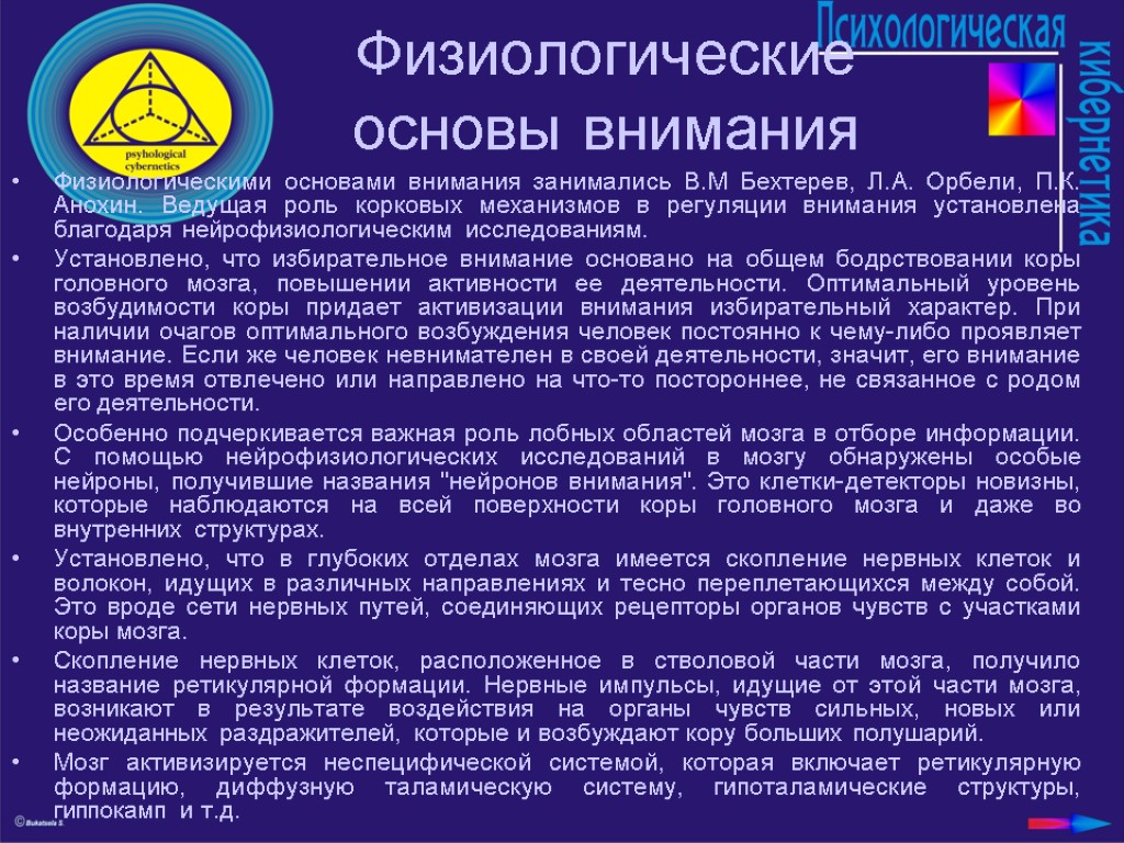 Основа внимания. Физиологические основы внимания. Внимание физиологические основы внимания. Физиологическую основу внимания составляют. Понятие и физиологические основы внимания..