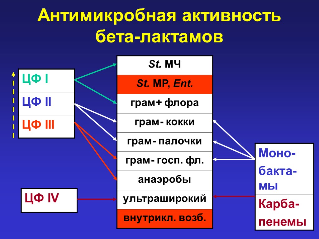 Антимикробная активность бета-лактамов