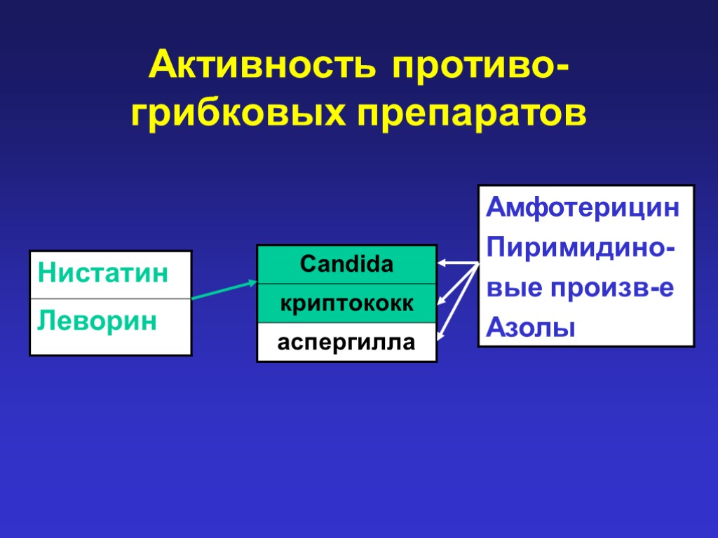 Активность противо-грибковых препаратов