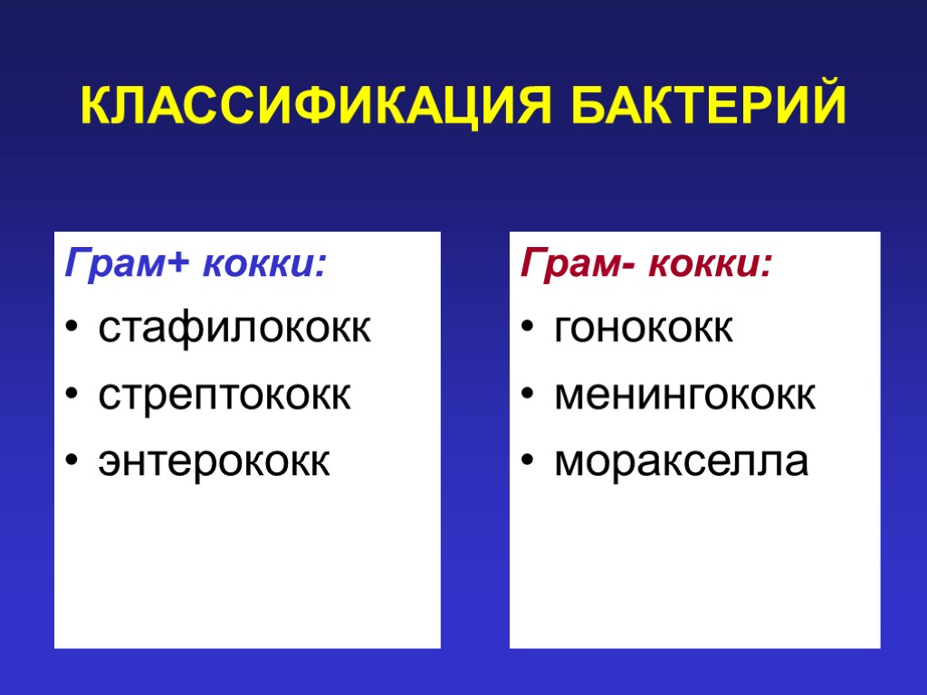 КЛАССИФИКАЦИЯ БАКТЕРИЙ Грам+ кокки: стафилококк стрептококк энтерококк Грам- кокки: гонококк менингококк моракселла