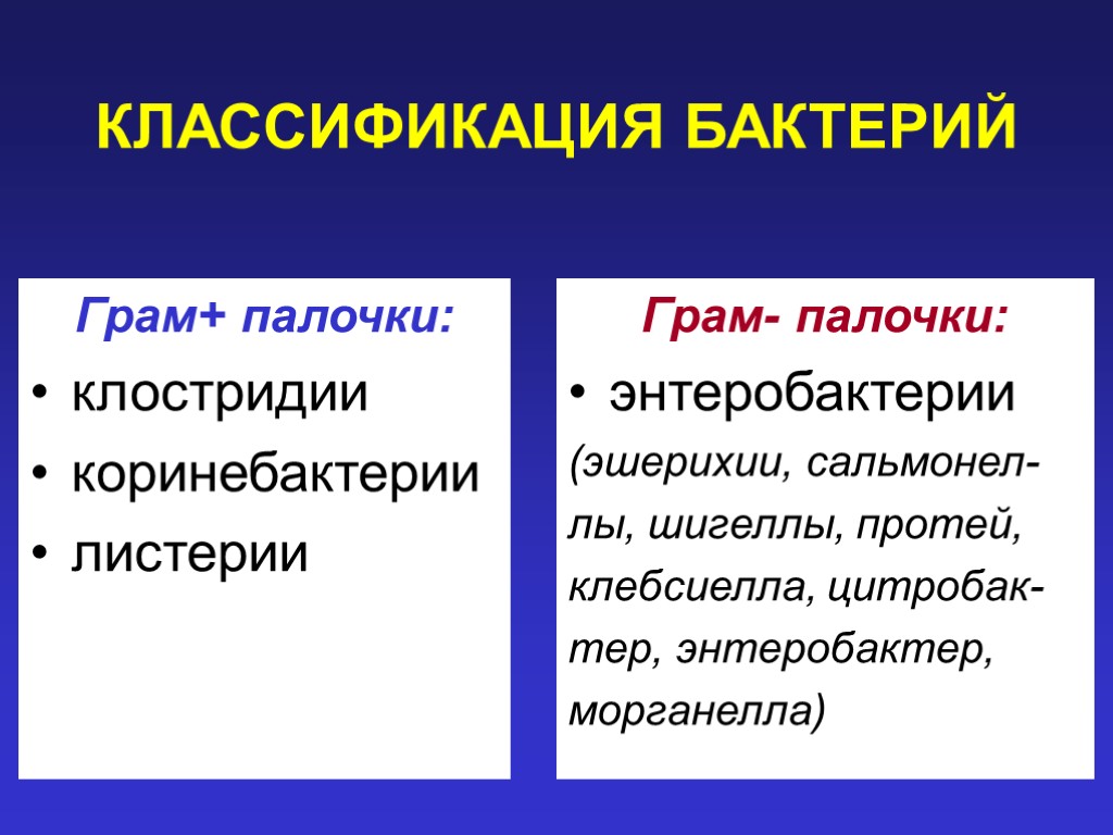 КЛАССИФИКАЦИЯ БАКТЕРИЙ Грам+ палочки: клостридии коринебактерии листерии Грам- палочки: энтеробактерии (эшерихии, сальмонел- лы, шигеллы,