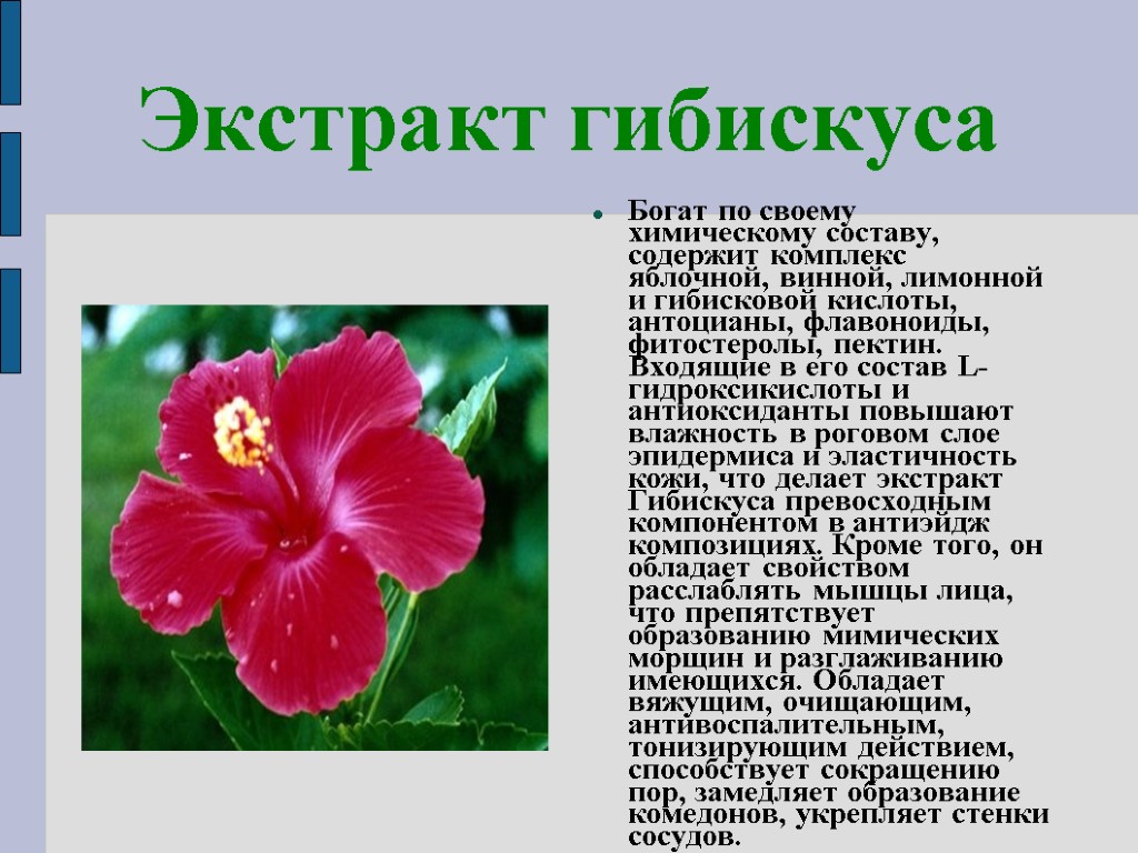 Гибискус свойства и противопоказания. Экстракт гибискуса. Экстракт цветов гибискуса. Цветки гибискуса свойства. Гибискус БАД.