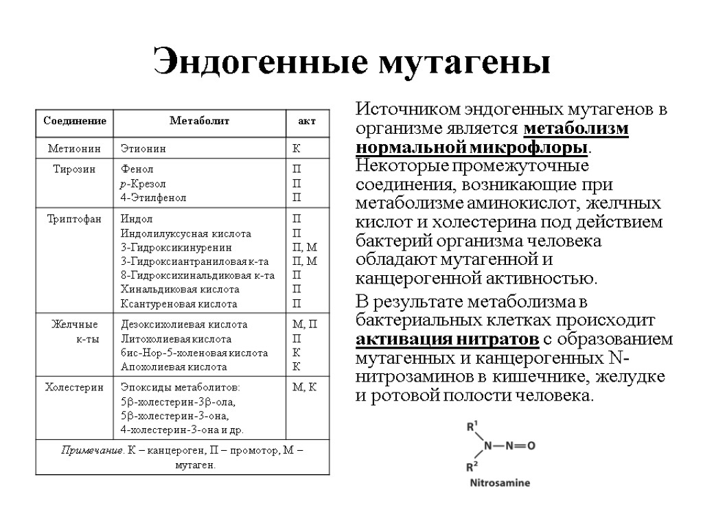 Вещества являющиеся одновременно и канцерогенами и мутагенами. Эндогенные мутагены. Экзогенные и эндогенные мутагены. Эндогенные мутации примеры. Экзогенные мутагены примеры.