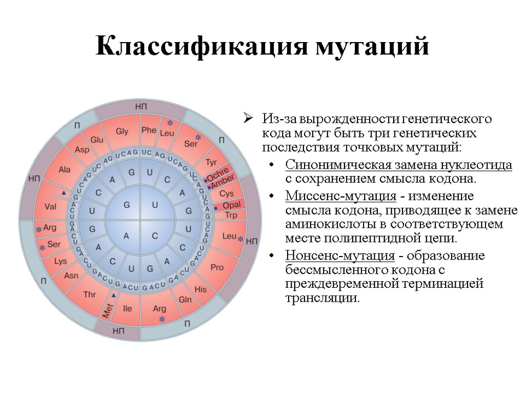 Вырожденность генетического кода. Мутации генетического кода. Генные мутации синонимичные. Классификация генетических точковых мутаций.