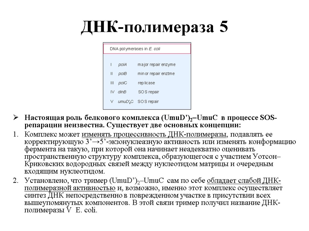 Активности днк полимераз. Экзонуклеазная активность ДНК полимеразы. ДНК полимеразы процессивность. Экзонуклеазная активность ДНК полимеразы 1. 5 3 Экзонуклеазная активность.