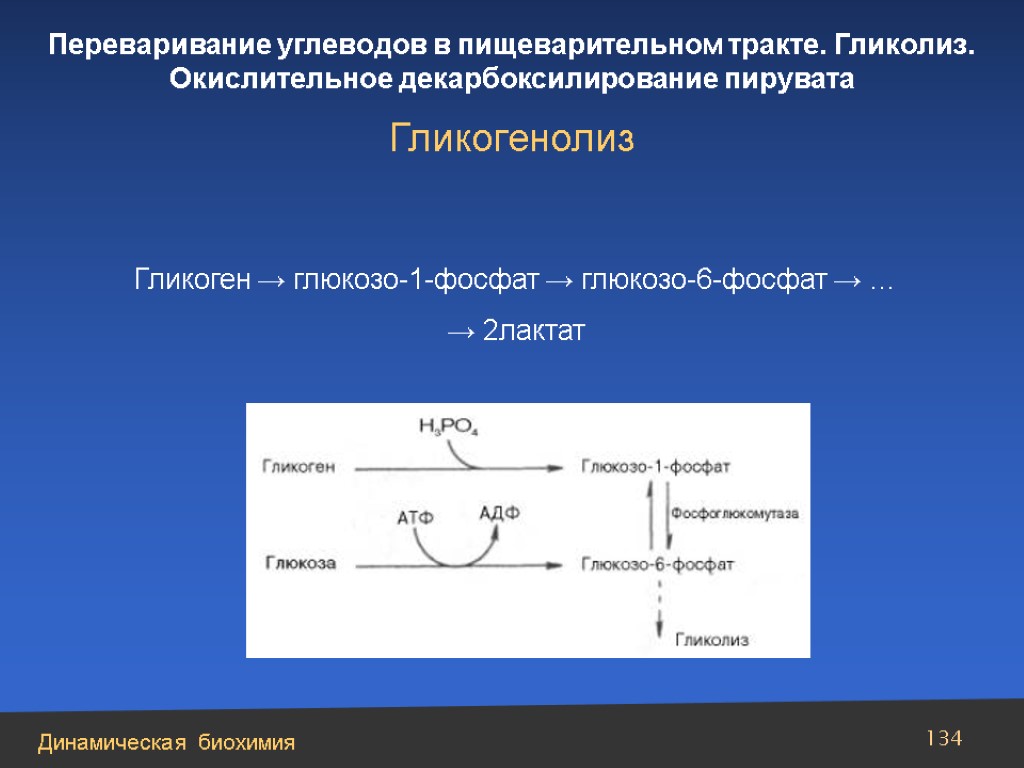 Реакция декарбоксилирования пирувата. Ферменты окислительного декарбоксилирования. Окисление декарбоксилирование пирувата биохимия. Схема реакции окислительного декарбоксилирования пирувата.