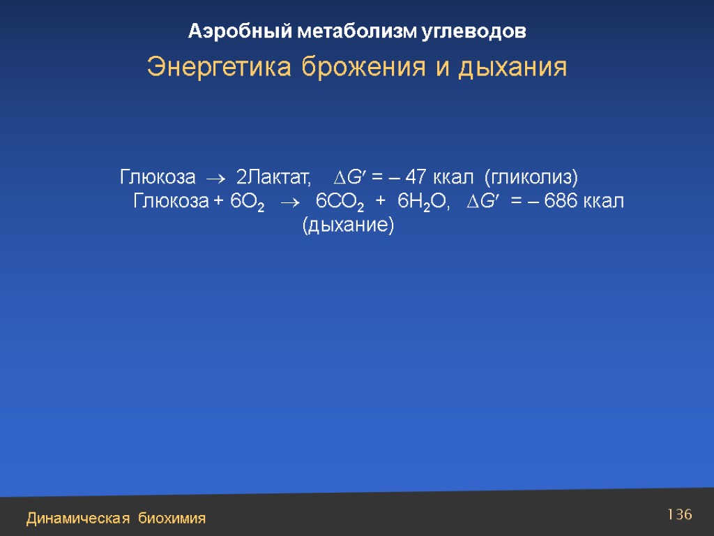 Сравнение брожения и дыхания. Лактат в глюкозу. Аэробным лактат. Глюкоза ккал. Гликолиз и брожение.