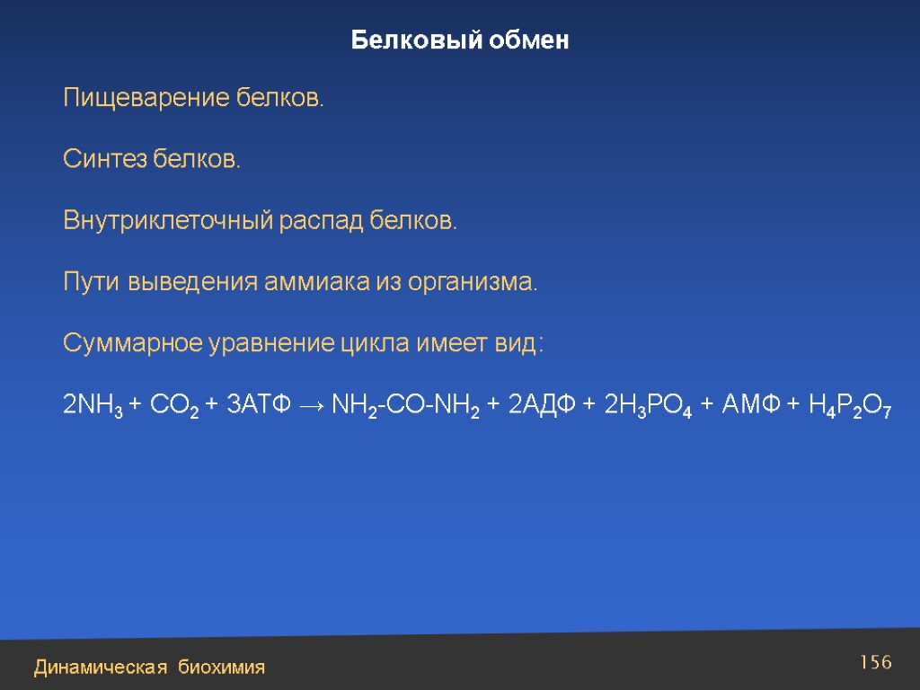 Уравнение синтеза. Суммарное уравнение синтеза белка. Nh3 co2 АТФ. Внутриклеточный распад белков. Суммарное уравнение биосинтеза белка.