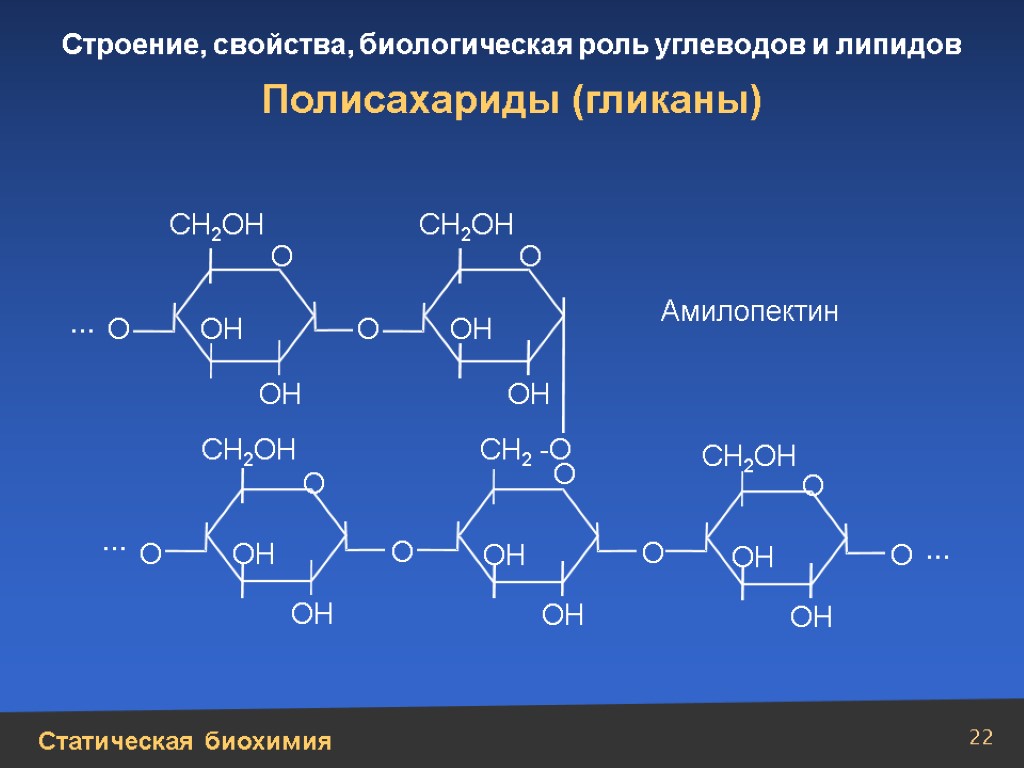 Структура свойства. Структура полисахаридов. Биологическая роль полисахаридов. Полисахариды Гликаны. Строение полисахаридов.