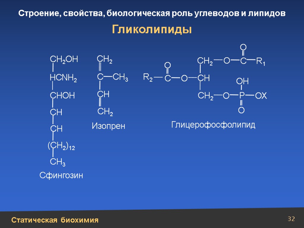 Гликолипиды. Гликолипиды структурная формула. Гликолипиды формула биохимия. Функции гликолипидов биохимия. Гликолипиды строение и биологическая роль.