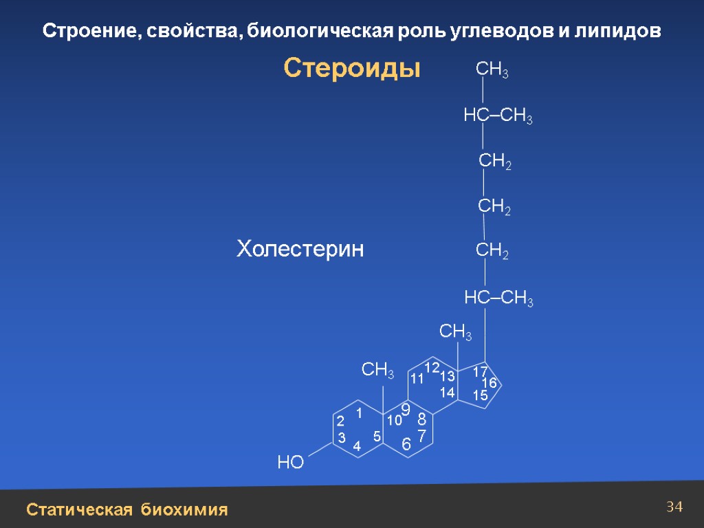 Между курсами. Строение биохимия. Стероиды строение и биологическая роль. Стероиды биохимия холестерин. Строение Глюкозы биохимия.