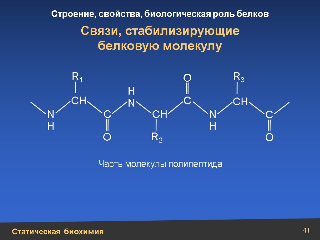 Связи в молекуле белков. Типы связей биохимия. Статическая биохимия. Молекула полипептида. Типы связей в молекулах белков биохимия.