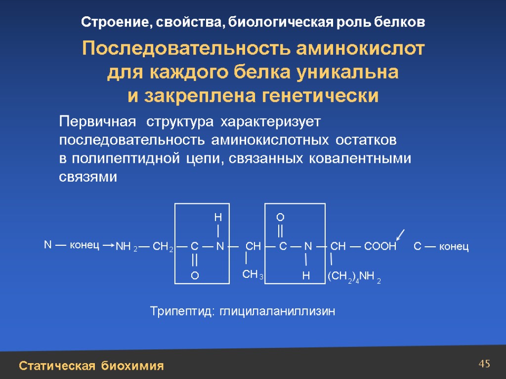 Изменение аминокислот последовательности белков