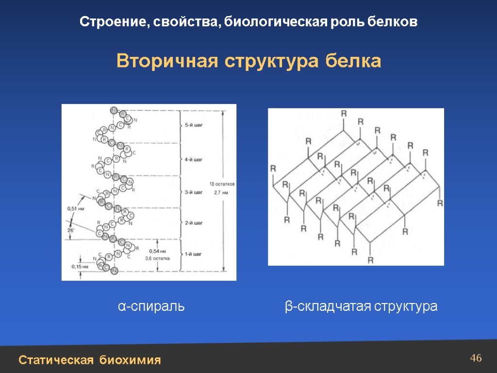 2 строение белков. Вторичная структура белка биохимия. Спирали вторичной структуры белка биохимия. Структура белков биохимия таблица. Белок биохимия структура.