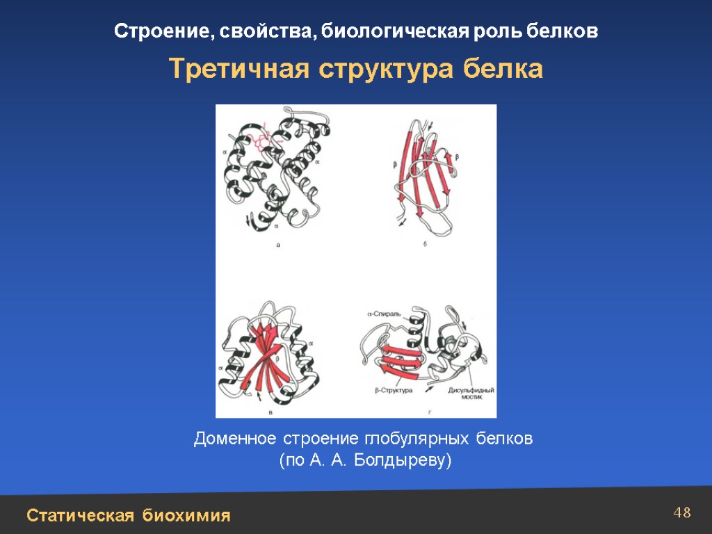 2 структура белка. Третичная структура глобулярных белков. Доменная структура белков биохимия. Третичная структура глобулярные. Доменное строение белка.