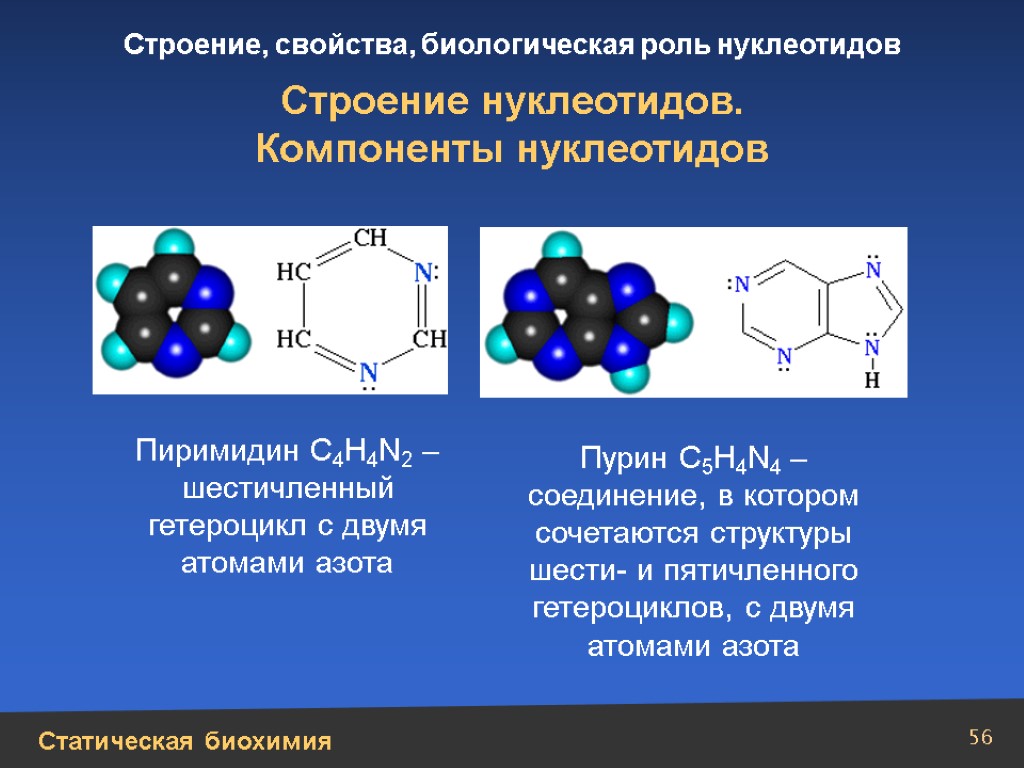 Структуры и функции нуклеотидов. Строение нуклеотидов биохимия. Строение и биологическая роль нуклеотидов. Функции нуклеотидов биохимия. Строение нуклеотида.