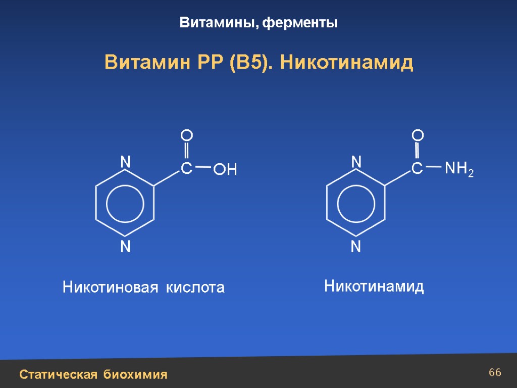 Витамины группы б презентация биохимия