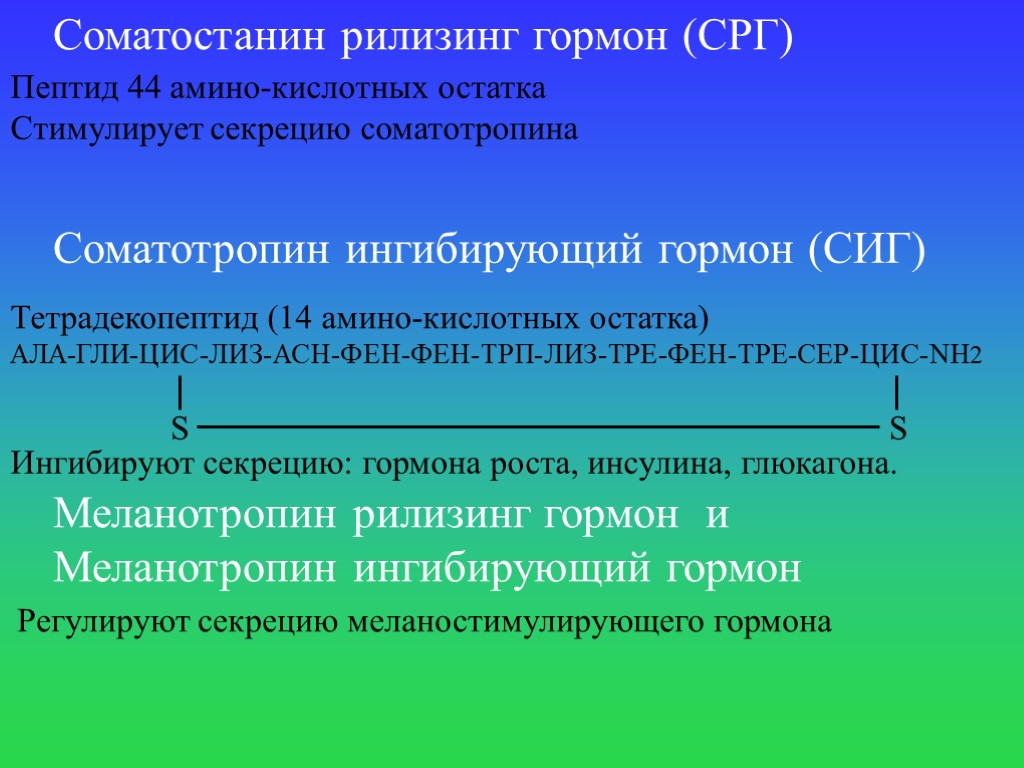 Гормоны белковой природы. Рилизинг гормоны. Рилизинг гормоны функции. Характеристика рилизинг гормонов. Рилизинг факторы.