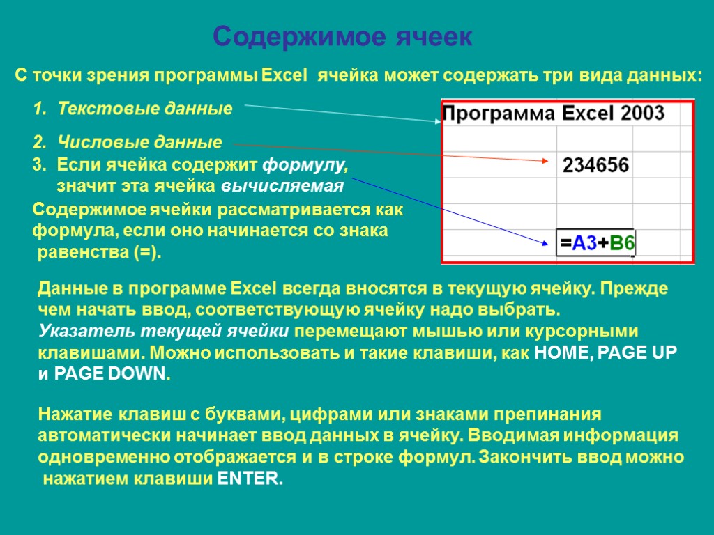 Какие данные могут содержаться в ячейке текст формула диаграмма картинка