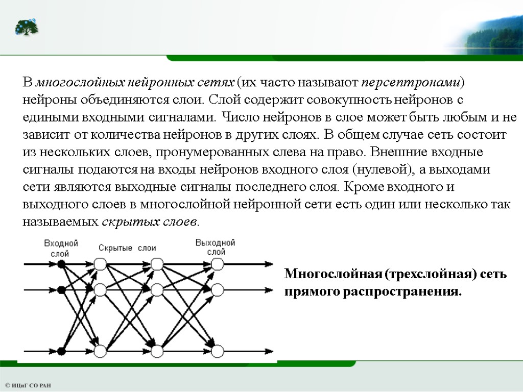 Нейронные сети и их применения проект