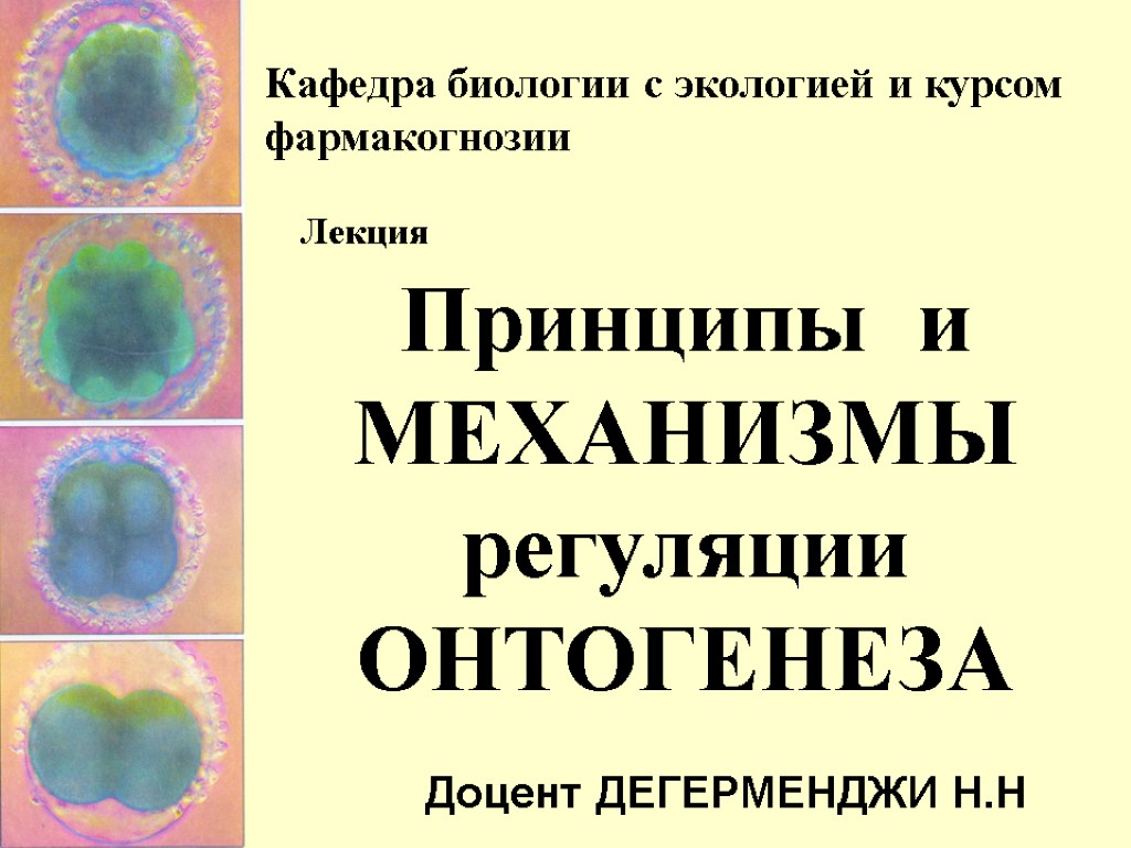 Факультет биология экология. Уровни регуляции онтогенеза. Детерминация это в биологии. Клеточные и системные механизмы онтогенеза.