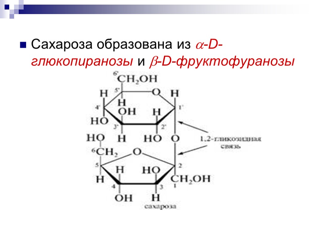 Рисунок сахароза геншин