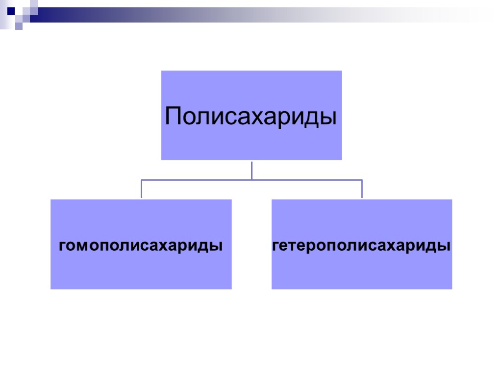 Ди и полисахариды. Полисахариды гомополисахариды гетерополисахариды. Гомополисахариды таблица. Углеводы гетерополисахариды гомополисахариды. Гомополисахариды и гетерополисахариды примеры.