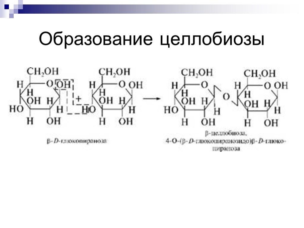 Схема образования целлобиозы