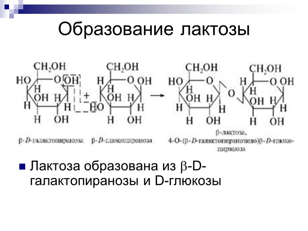 Схема образования лактозы