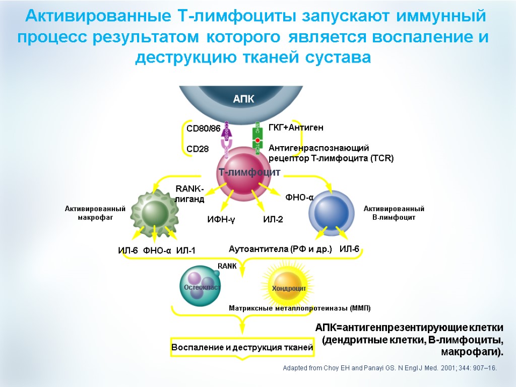 Ревматоидный артрит схема