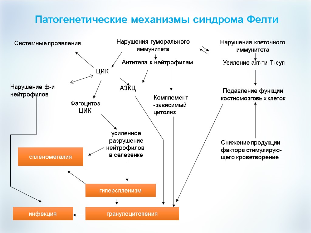 Ревматоидный артрит синдром Фелти. Нарушения гуморального иммунитета при ревматоидном артрите. Ревматоидный артрит патогенез иммунология. Диагностические критерии ревматоидного синдрома Фелти.